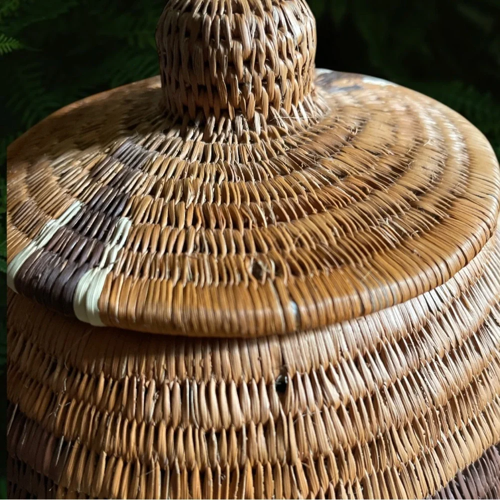 World Wild Life Yikote Elephants Handmade Grass Basket With Lid Botswana VGUC